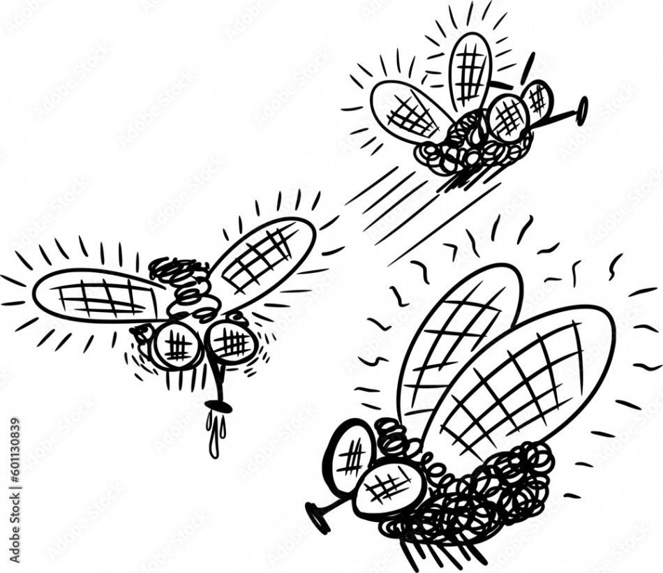 Vector drawing of three flies, black and white