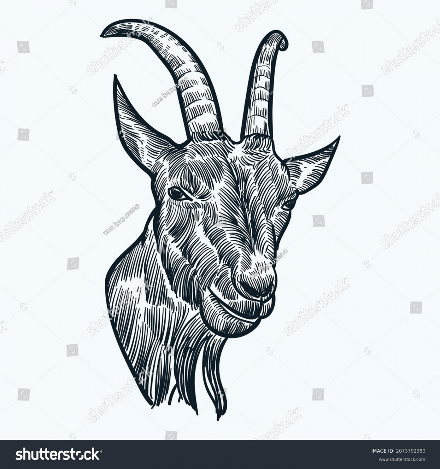 Vintage Hand Drawn Sketch Billy Goat Stock Vector (Royalty Free