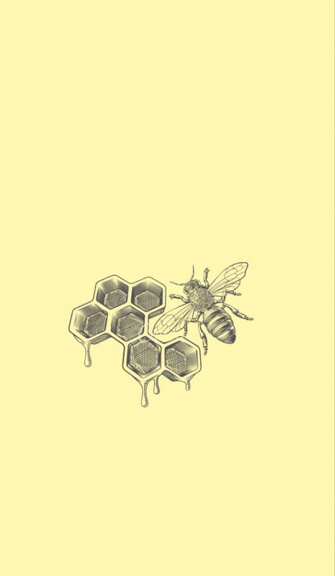 wallpaper #honey #bee #instagram #minimalist #homescreen #iphone