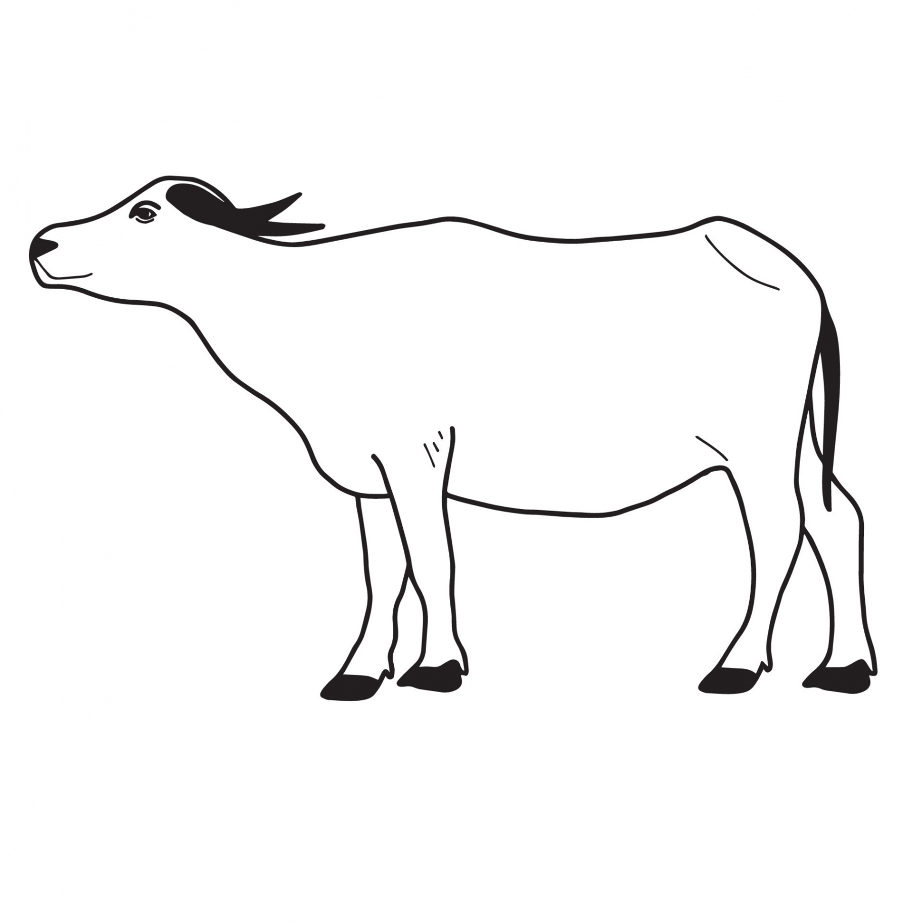 Water buffalo or Thai buffalo vector. Side view