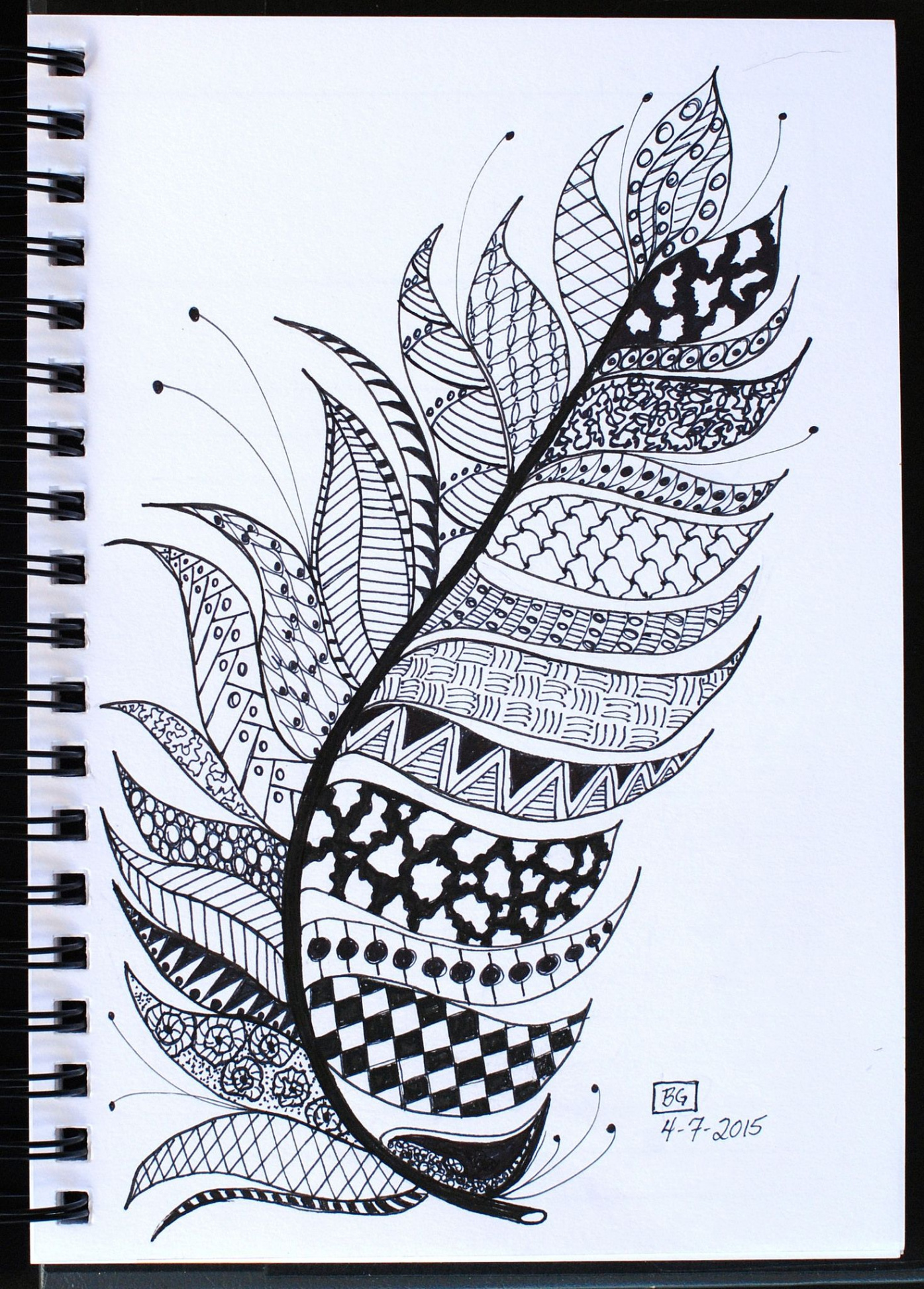 Zenspirations & Zentangles  Tangle art, Zentangle art, Feather art