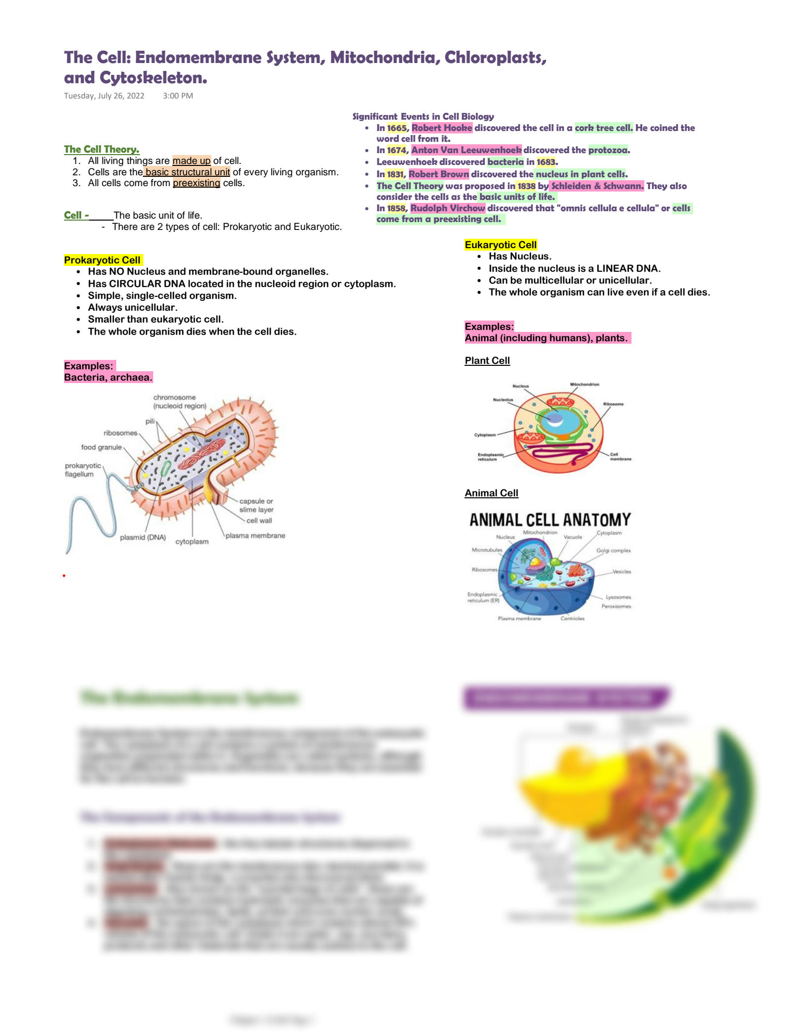 80 Printable Chloroplasts And Mitochondria Worksheet 29