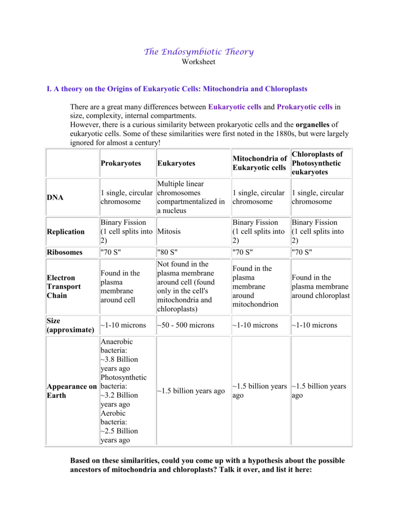 80 Printable Chloroplasts And Mitochondria Worksheet 34