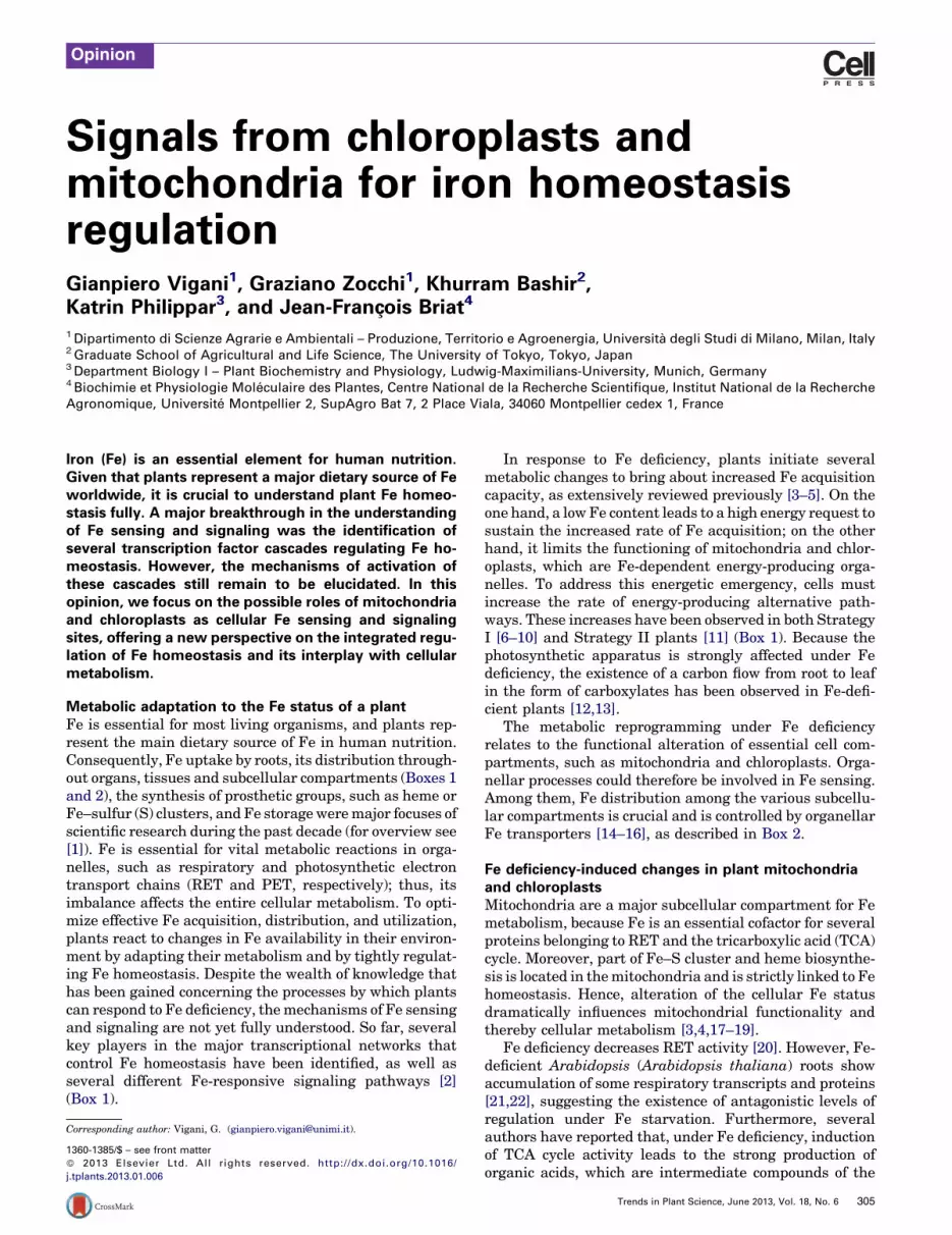 80 Printable Chloroplasts And Mitochondria Worksheet 43