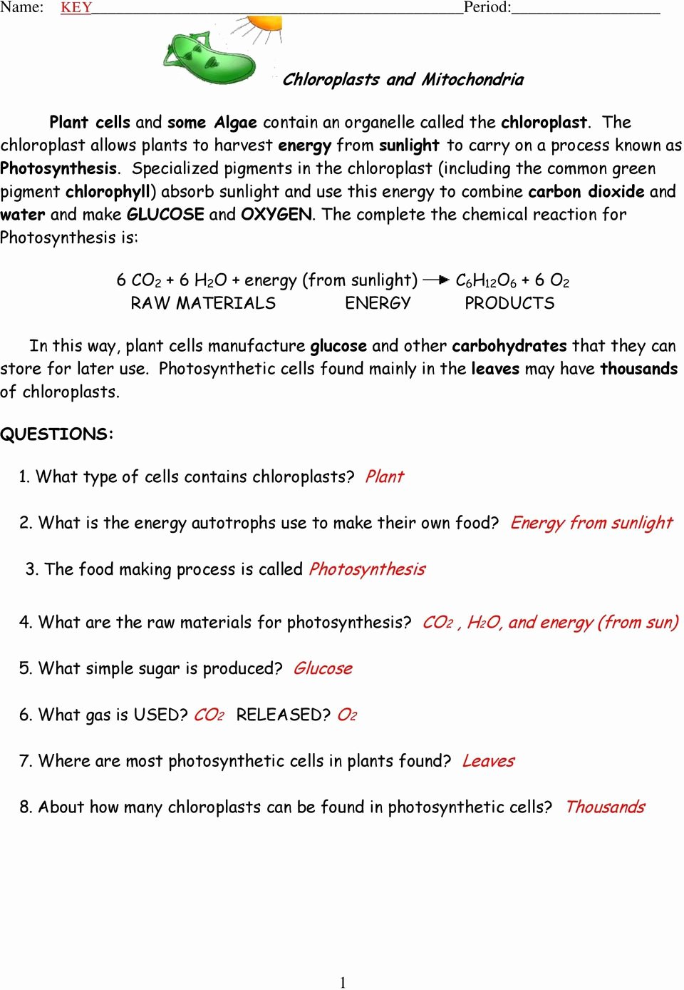 80 Printable Chloroplasts And Mitochondria Worksheet 6