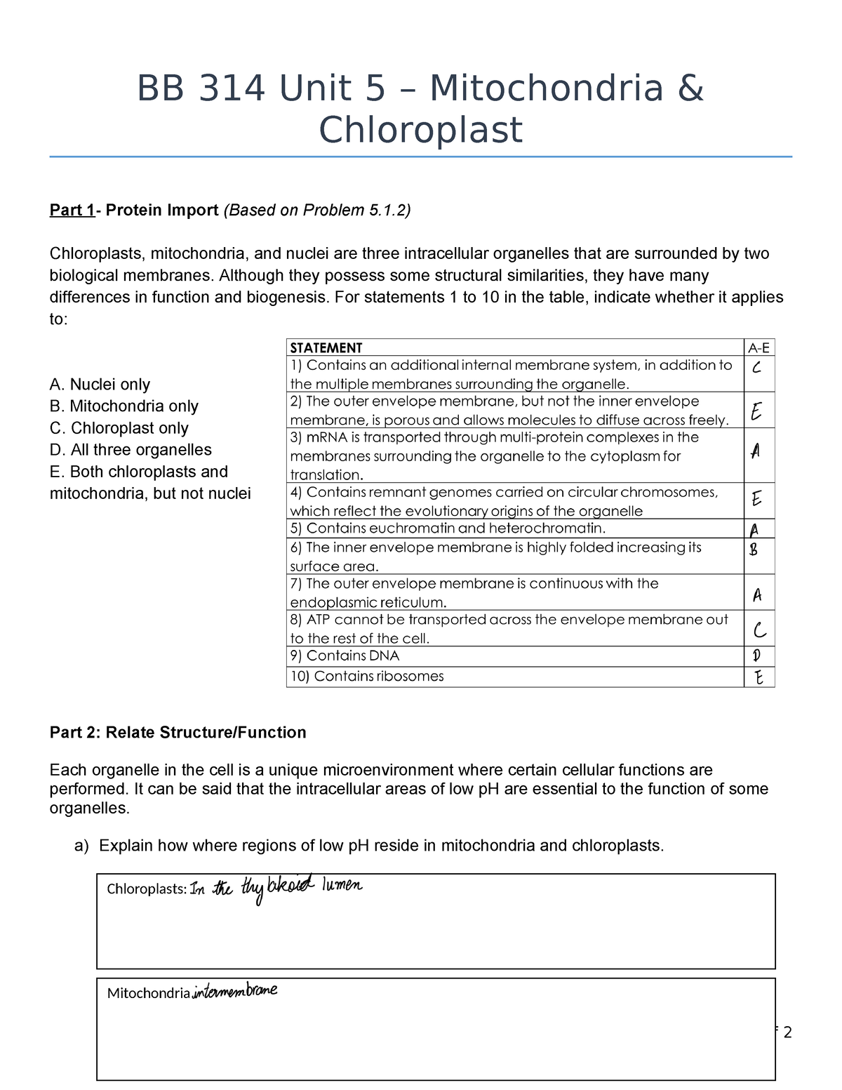 80 Printable Chloroplasts And Mitochondria Worksheet 61