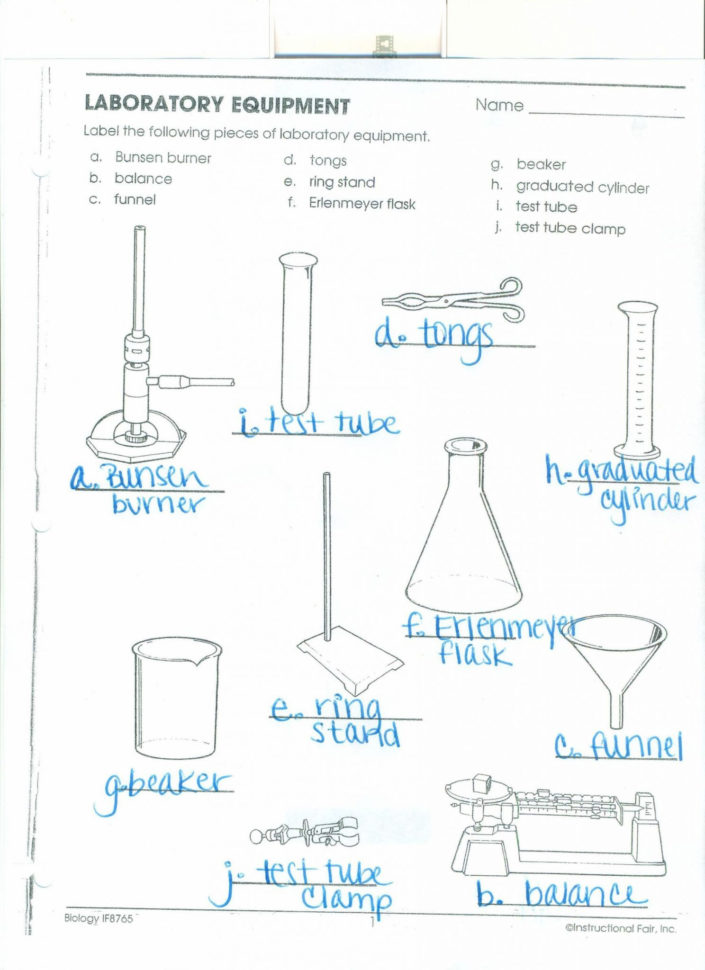 80 Printable Lab Safety Worksheet Answers 10