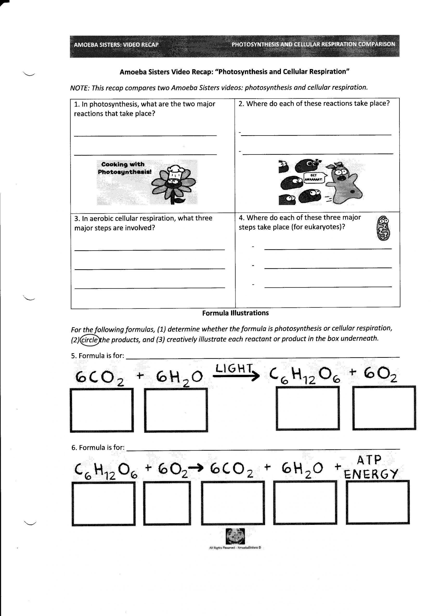 80 Printable Lab Safety Worksheet Answers 62