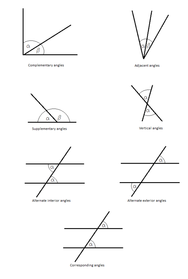 80 Printable Names Of Angles Worksheet 82