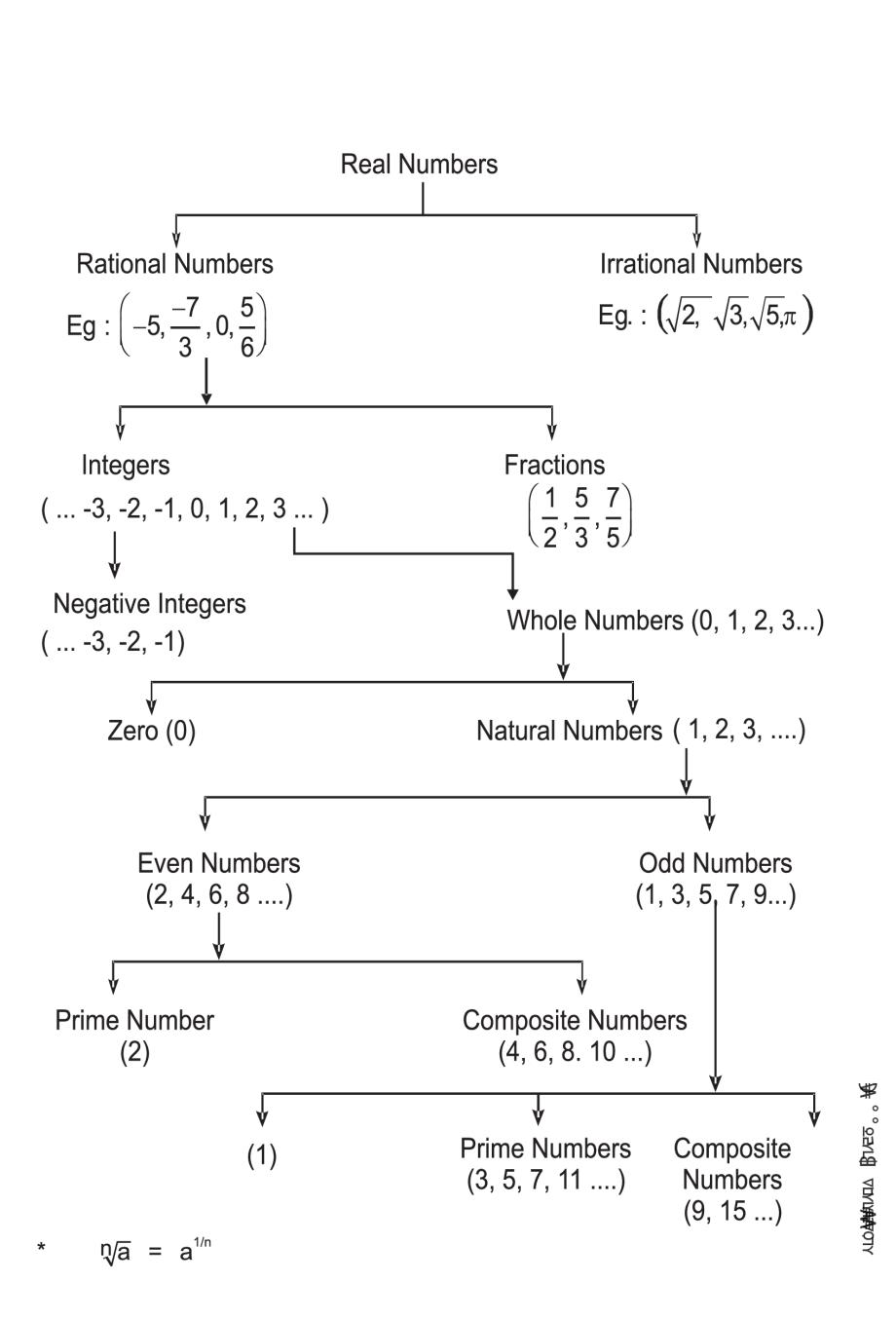 90 Printable Real Number System Worksheet 79