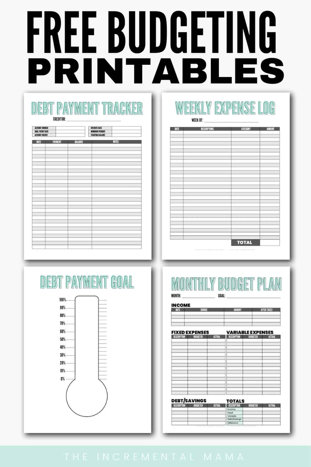 Get 85 Budgeting Worksheets For Students Ideas 39