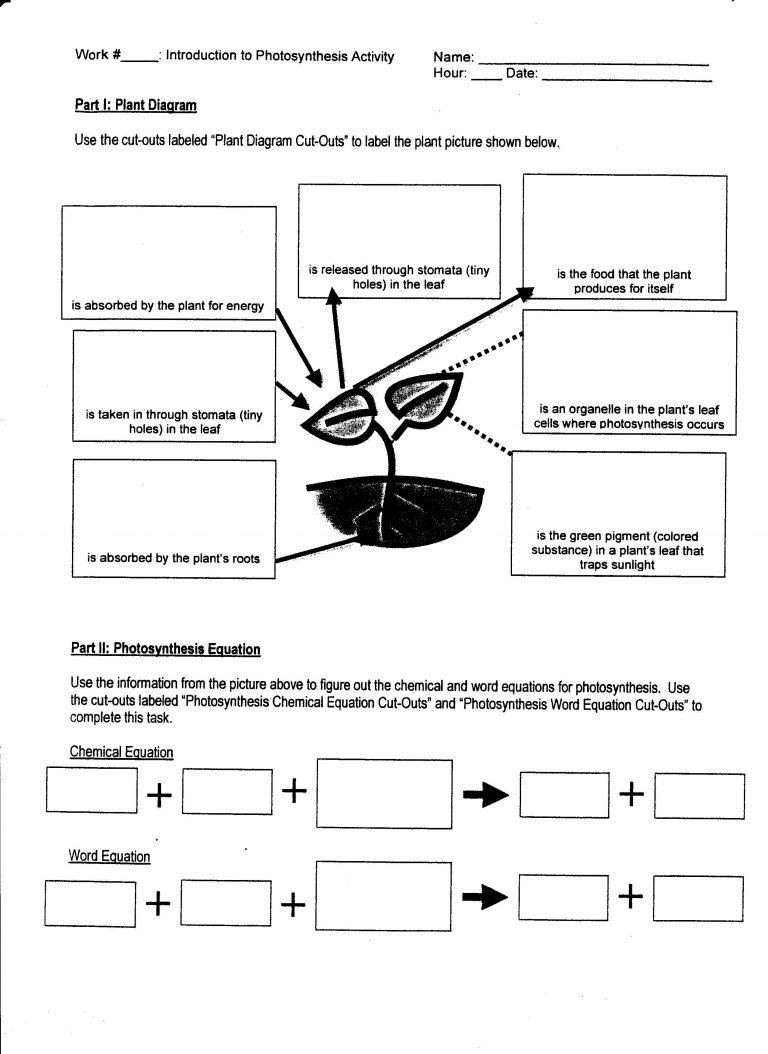 Get 85 Photosynthesis And Respiration Worksheet Ideas 10