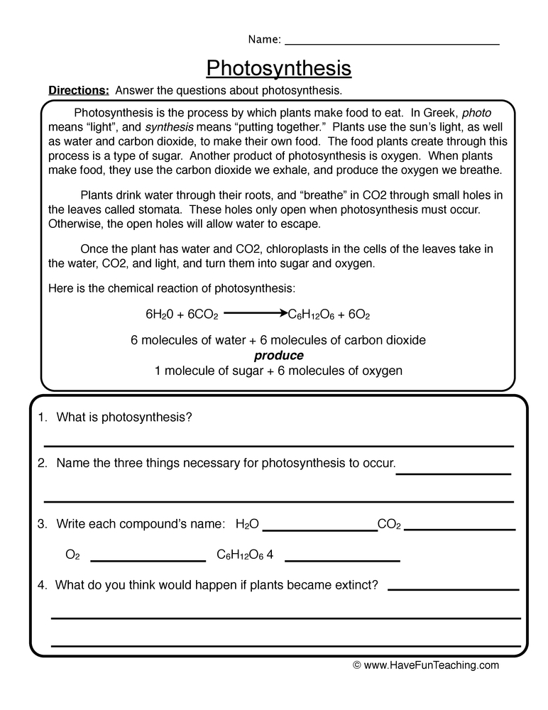 Get 85 Photosynthesis And Respiration Worksheet Ideas 43