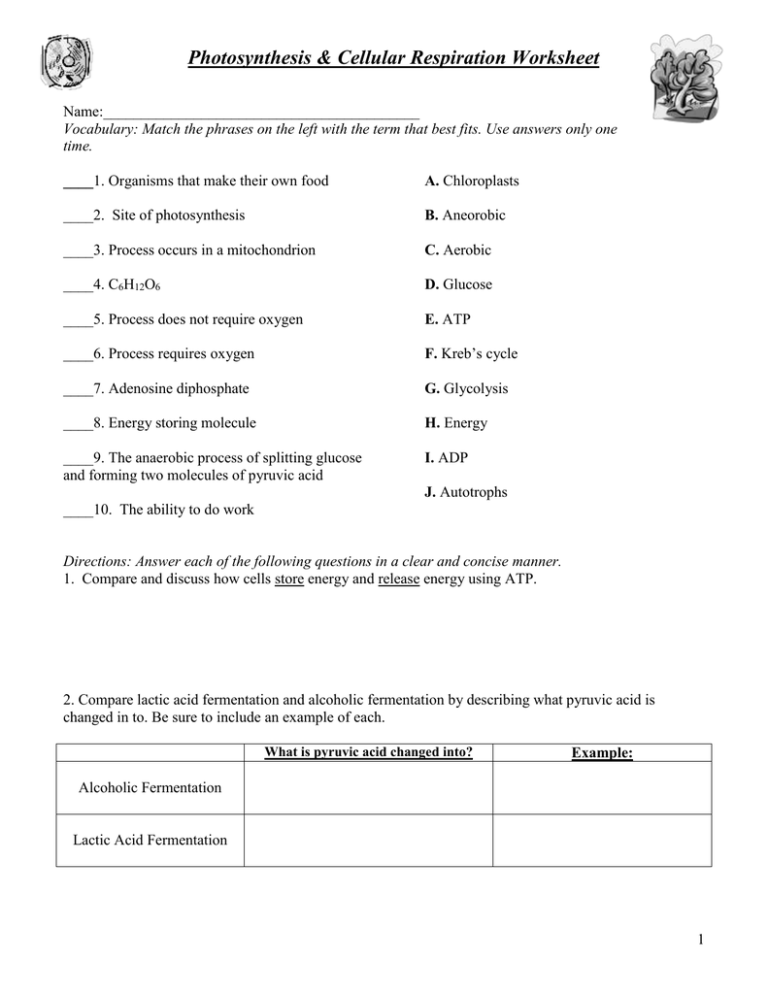 Get 85 Photosynthesis And Respiration Worksheet Ideas 59