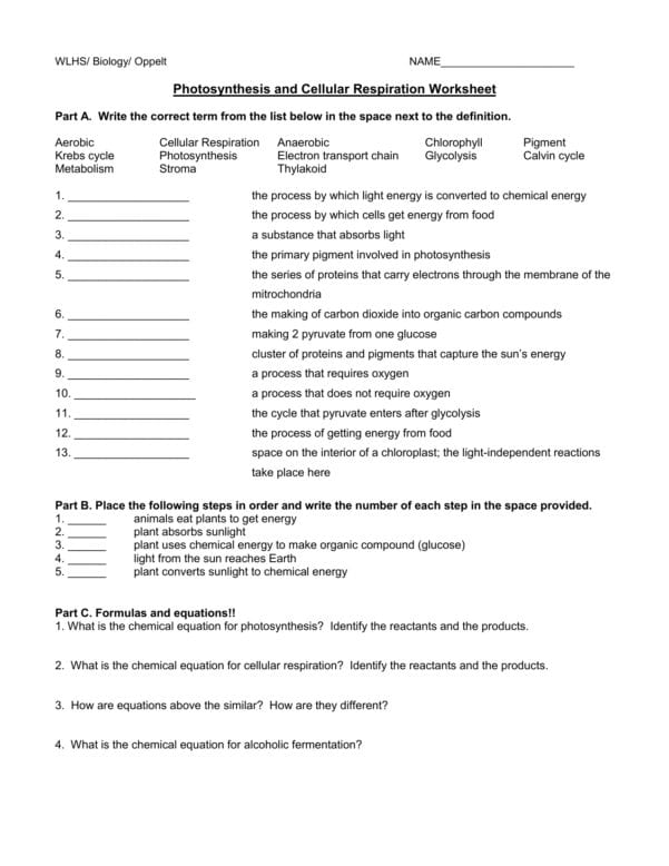 Get 85 Photosynthesis And Respiration Worksheet Ideas 60