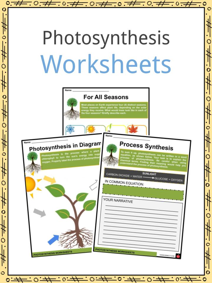 Get 85 Photosynthesis And Respiration Worksheet Ideas 72