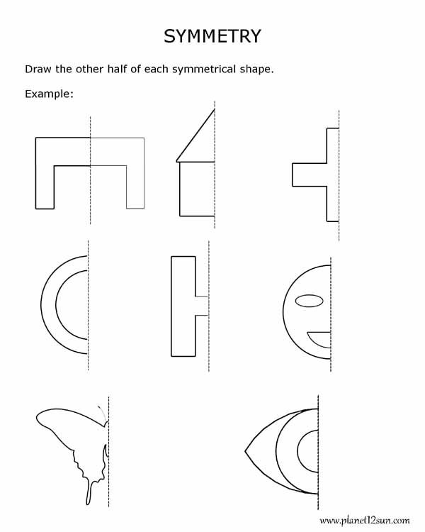 Get 85 Summer Symmetry Worksheet 5