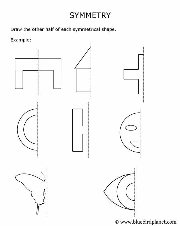 Get 85 Summer Symmetry Worksheet 56