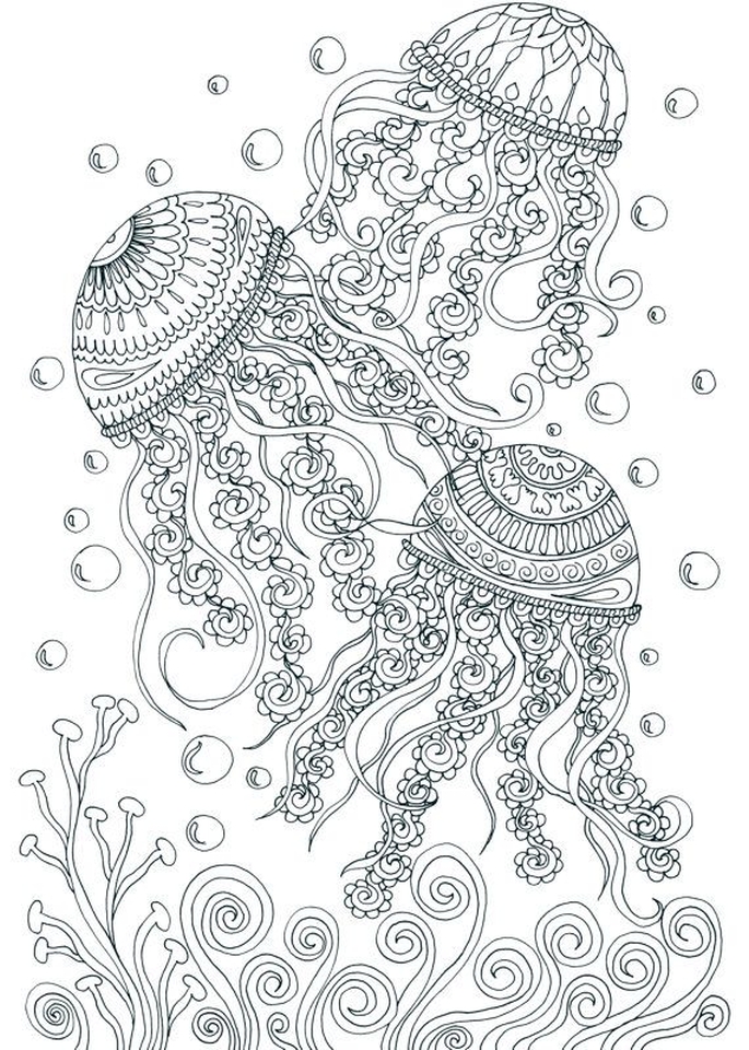 Best 45 Coloring Pages Summer Adult Ideas 2