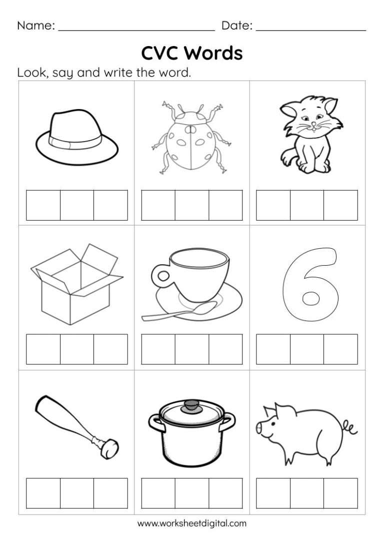 Best 50 Cvc Words Worksheets Ideas 12