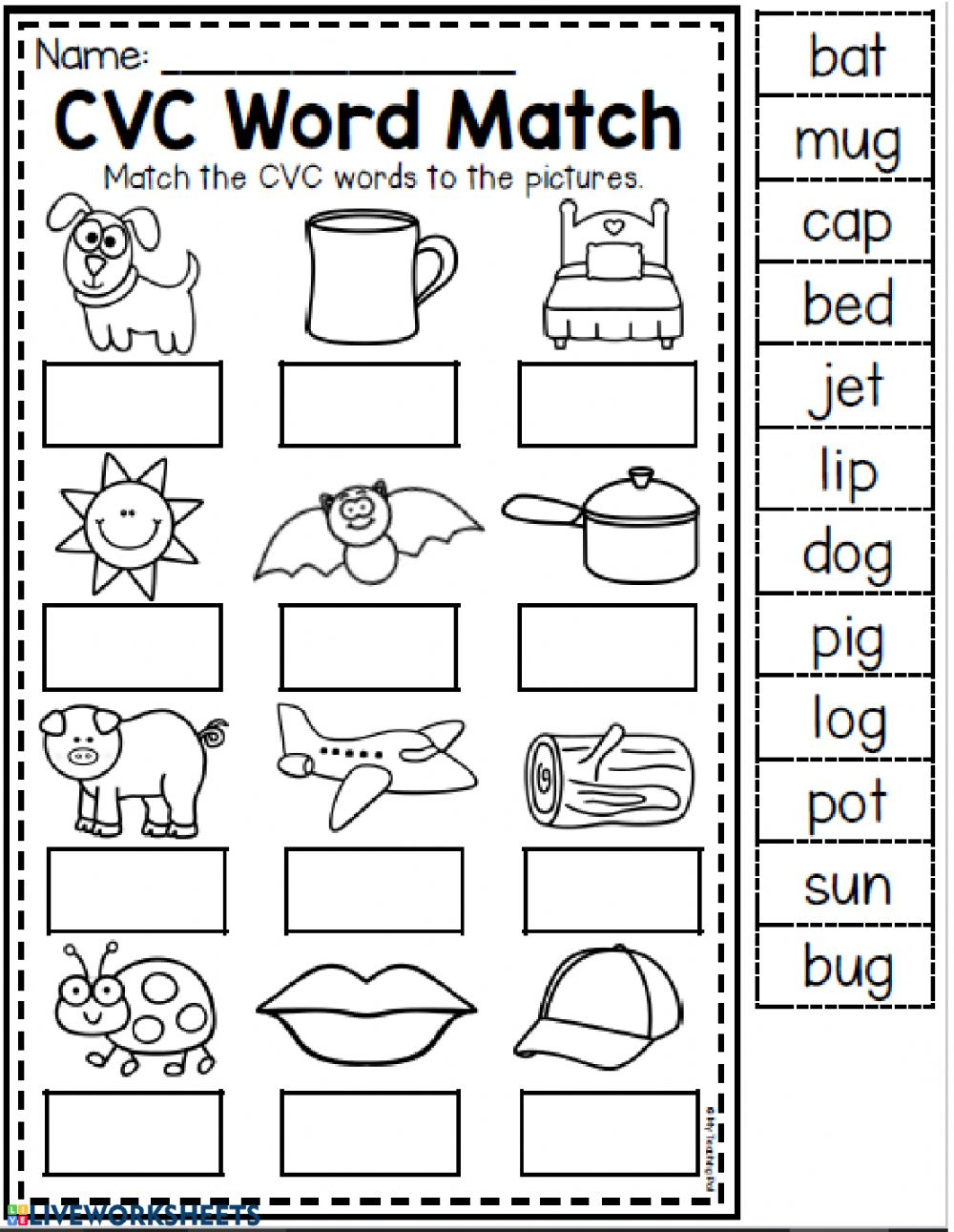 Best 50 Cvc Words Worksheets Ideas 28