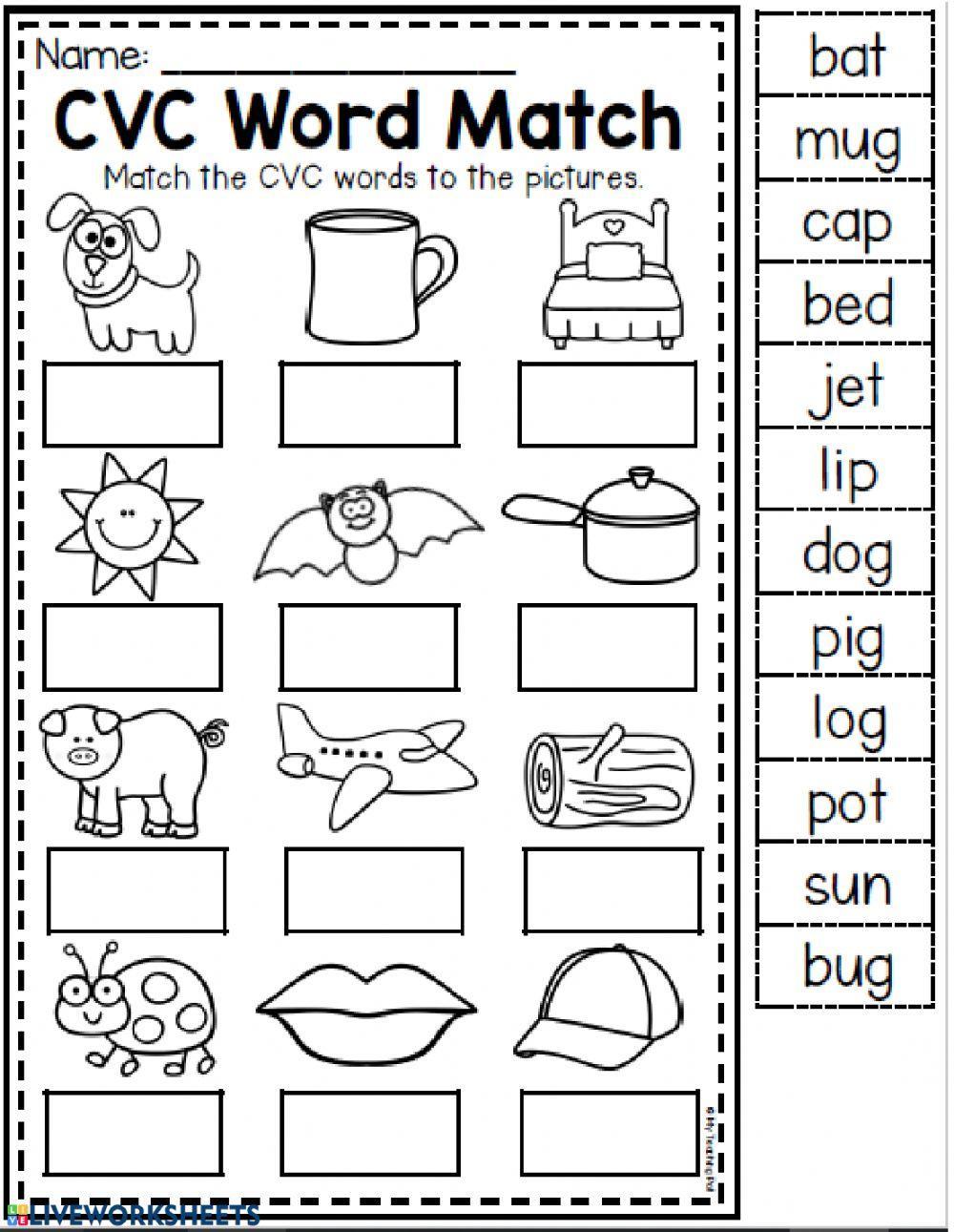 Best 50 Cvc Words Worksheets Ideas 9