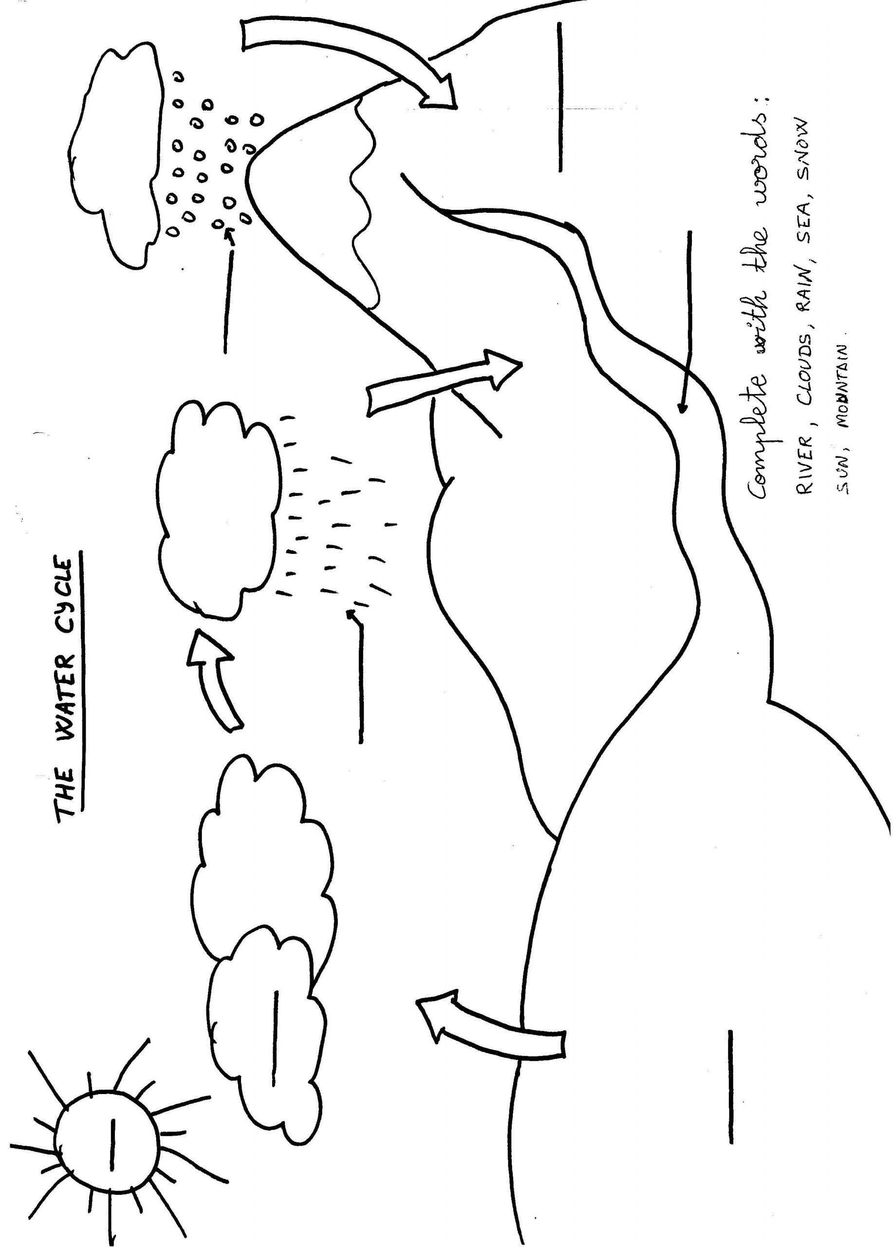 Best 50 Water Cycle Worksheets Ideas 10