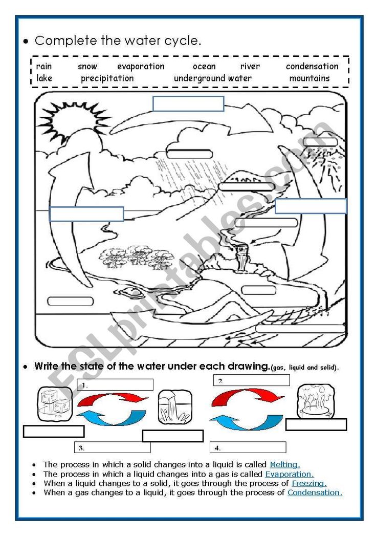 Best 50 Water Cycle Worksheets Ideas 14