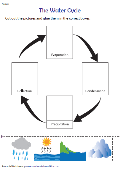 Best 50 Water Cycle Worksheets Ideas 15