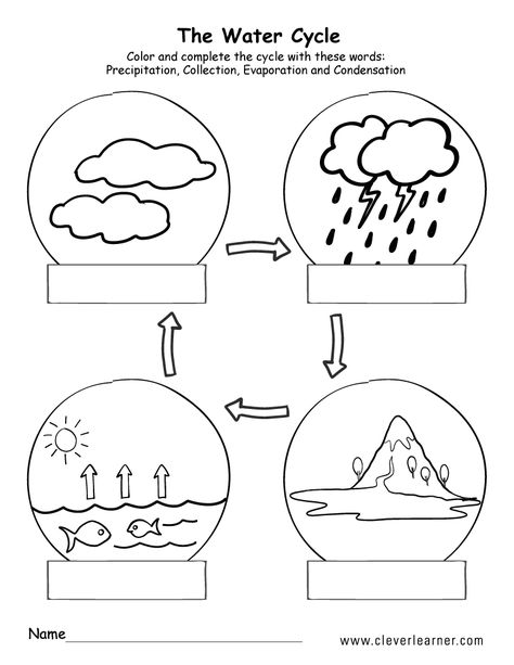 Best 50 Water Cycle Worksheets Ideas 17