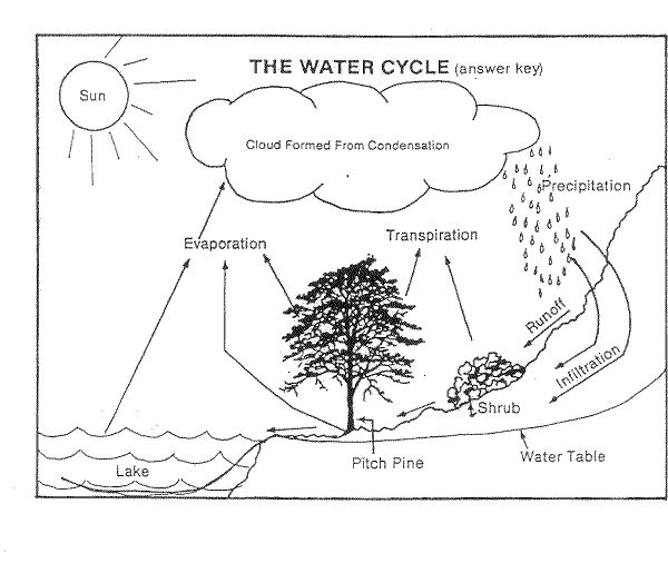 Best 50 Water Cycle Worksheets Ideas 19