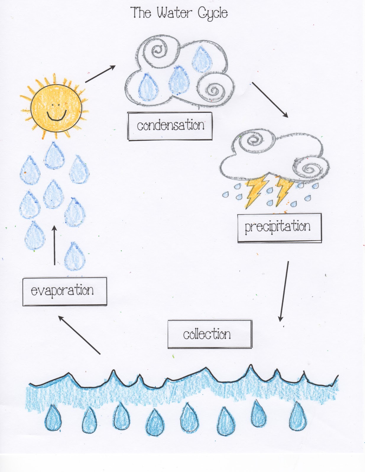 Best 50 Water Cycle Worksheets Ideas 2