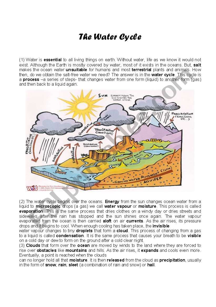 Best 50 Water Cycle Worksheets Ideas 21