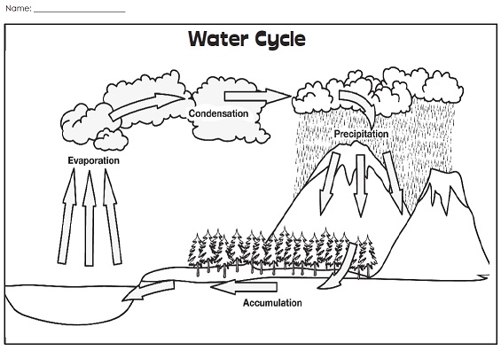 Best 50 Water Cycle Worksheets Ideas 23