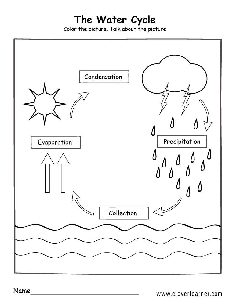 Best 50 Water Cycle Worksheets Ideas 27