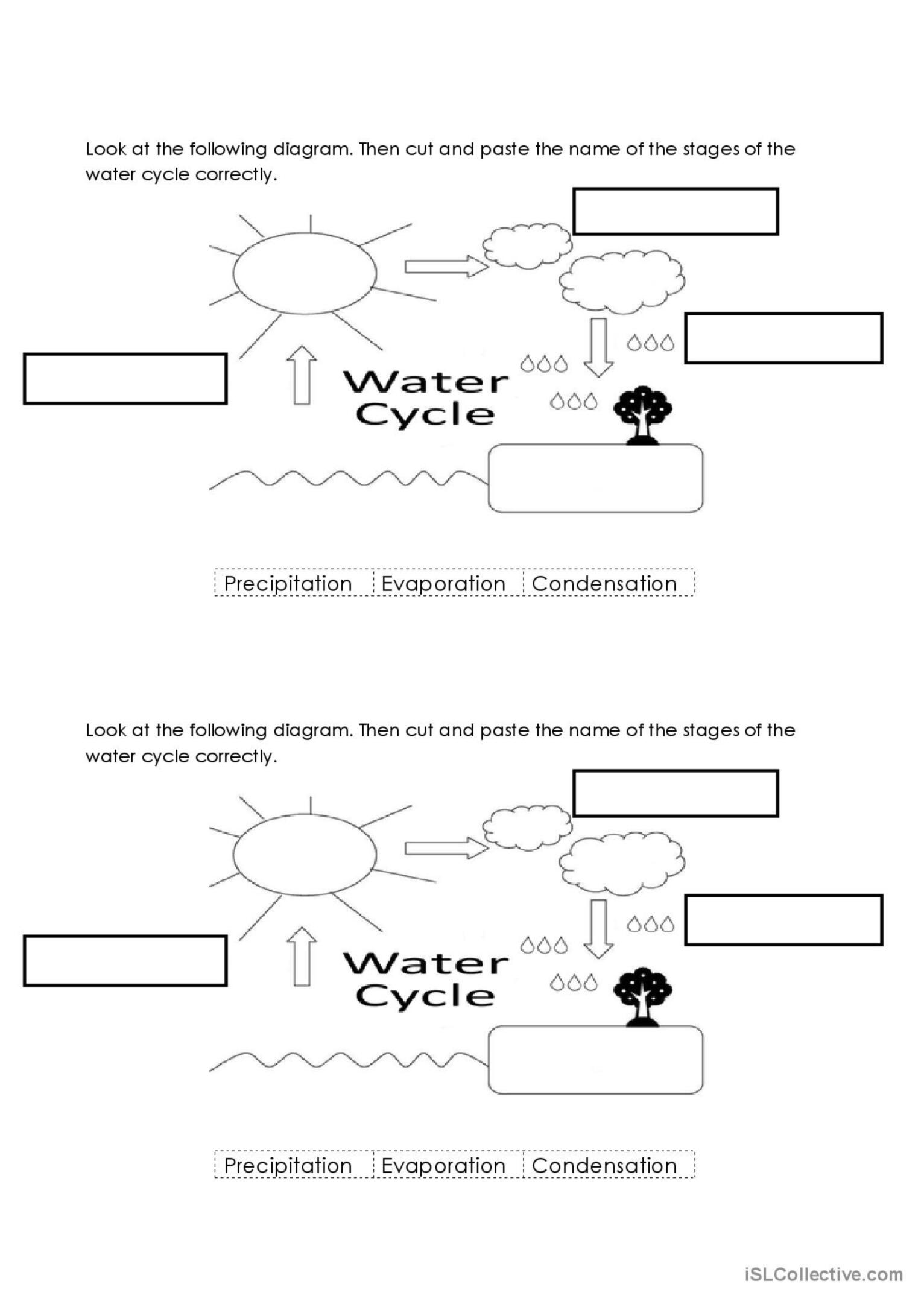 Best 50 Water Cycle Worksheets Ideas 28