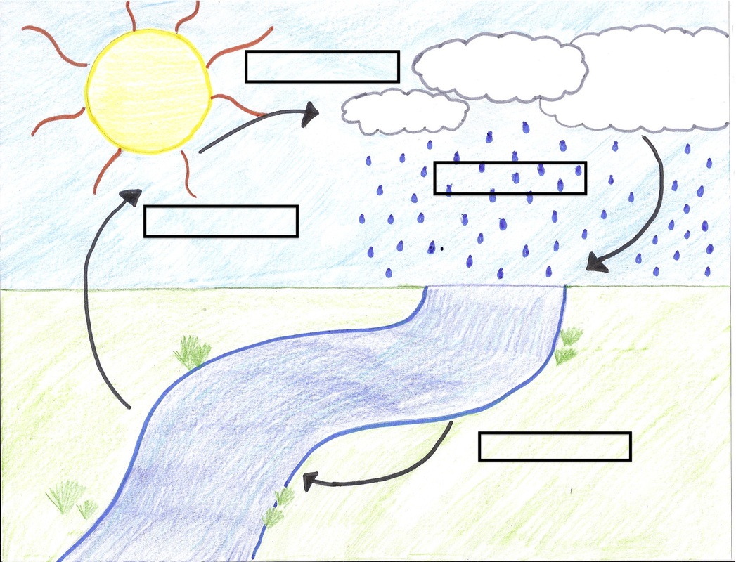 Best 50 Water Cycle Worksheets Ideas 32