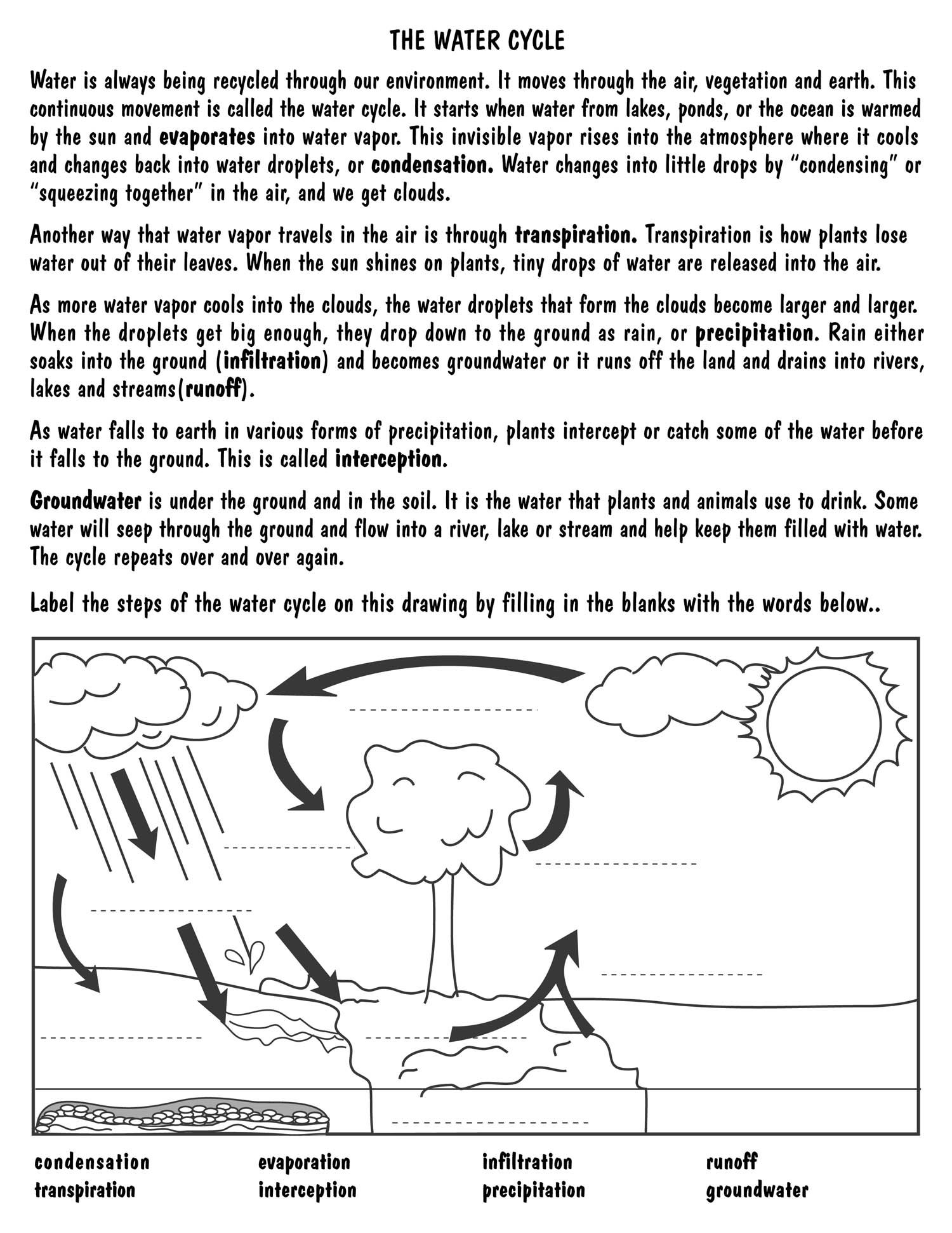 Best 50 Water Cycle Worksheets Ideas 33