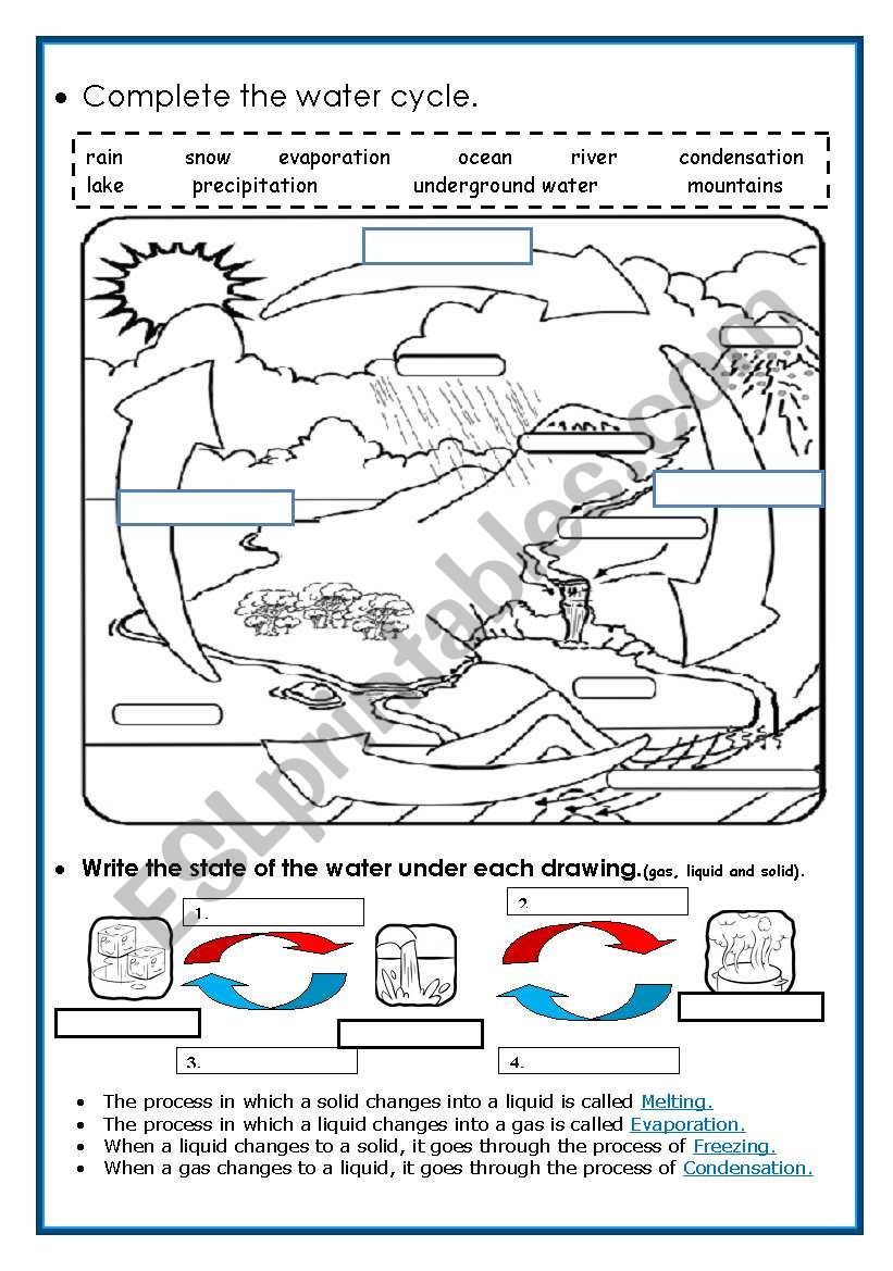 Best 50 Water Cycle Worksheets Ideas 35