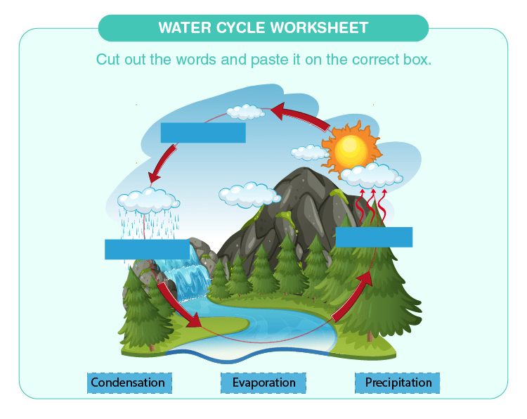 Best 50 Water Cycle Worksheets Ideas 6