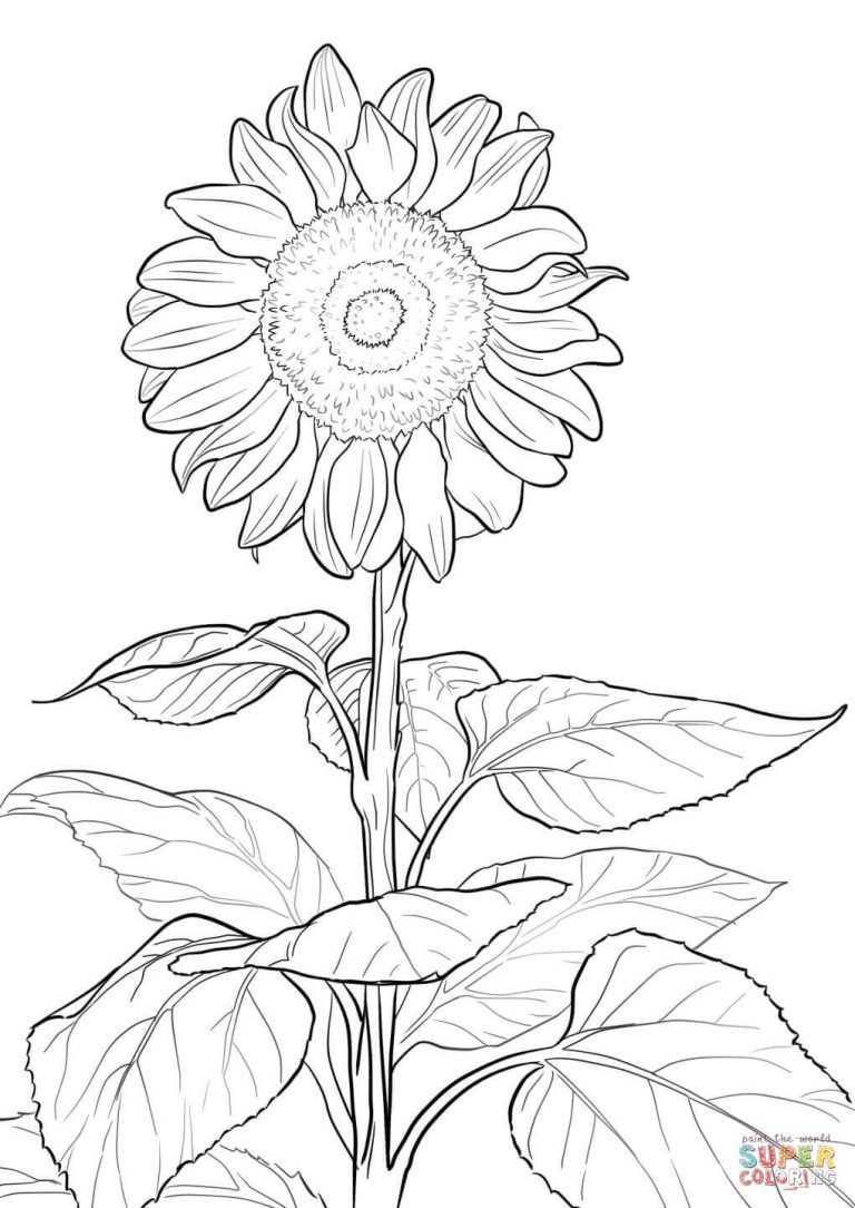 Get 85 Summer Solstice Coloring Pages Ideas 32