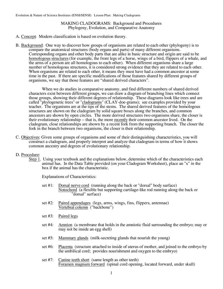 20 Cladogram Worksheet Answers Download