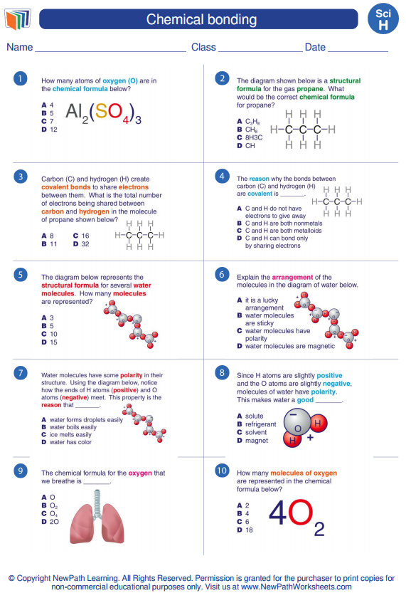 20 Cladogram Worksheet Answers Download