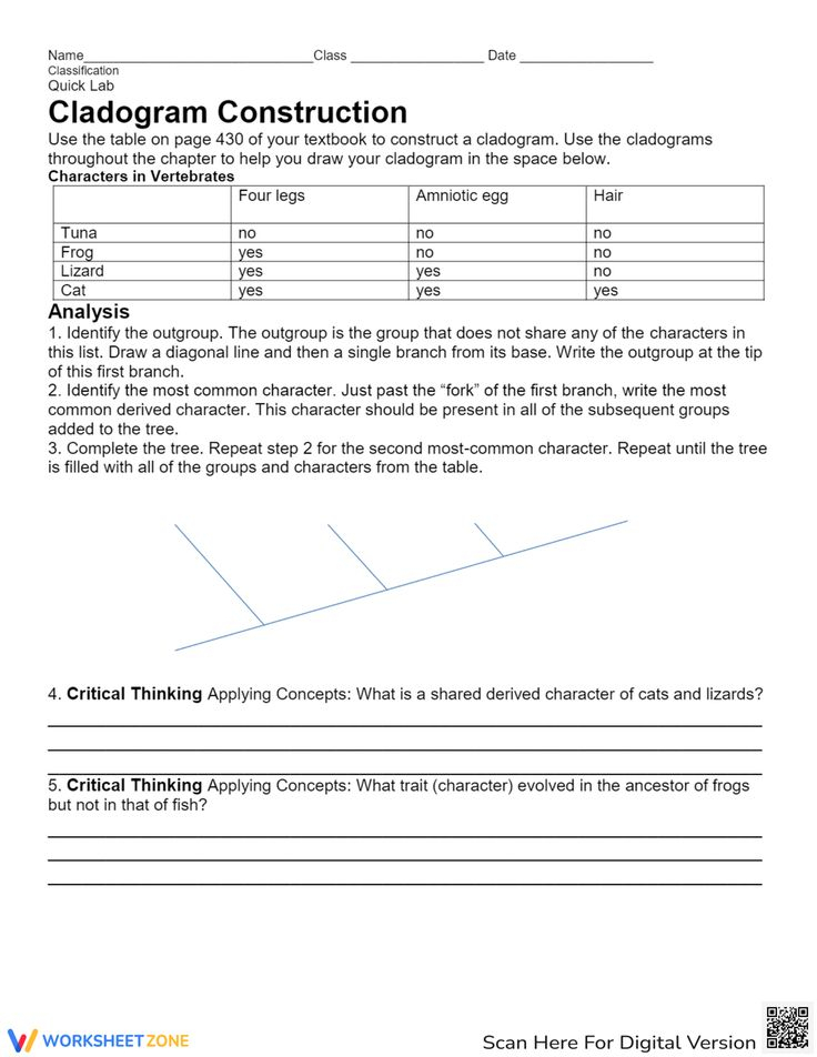 20 Cladogram Worksheet Answers Download