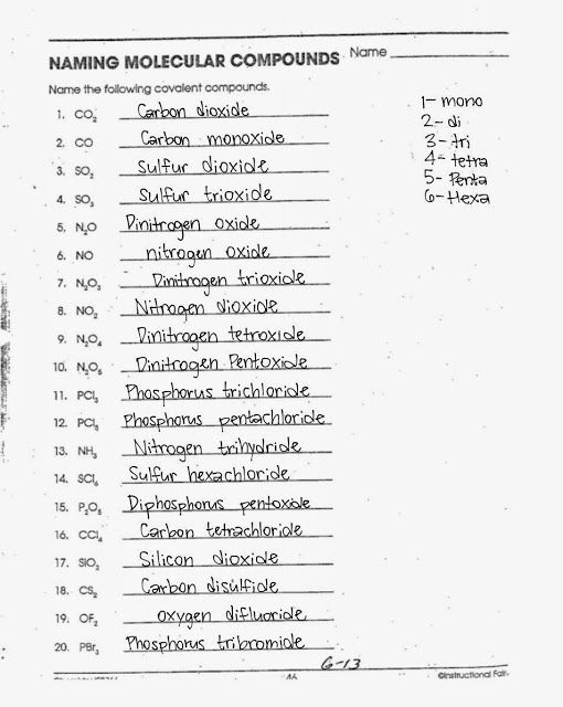 20 Cladogram Worksheet Answers Free