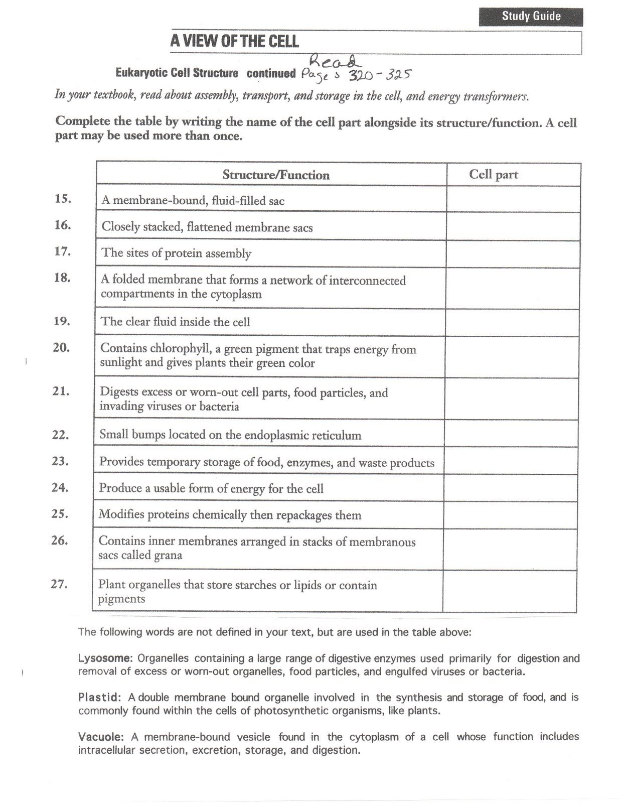 20 Cladogram Worksheet Answers Pdf