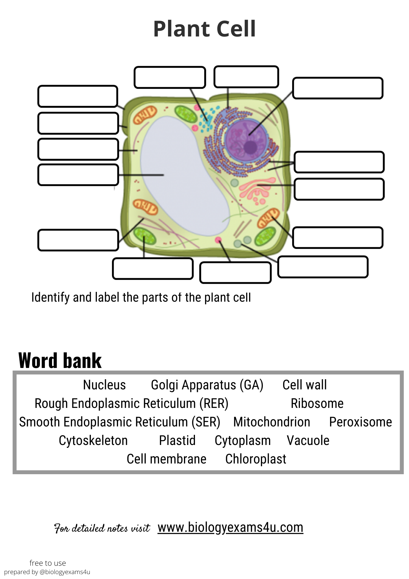 20 Cladogram Worksheet Answers Pdf