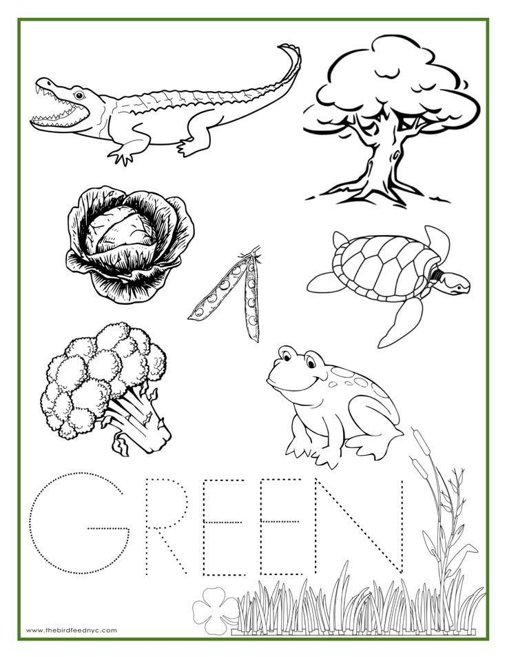 20 Green Colour Worksheet Free