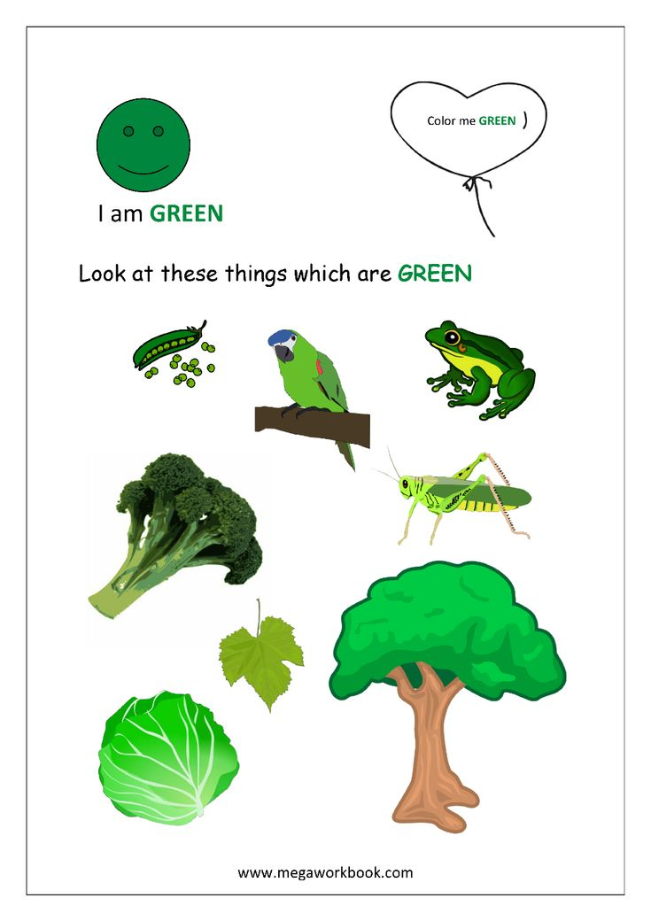 20 Green Colour Worksheet Free