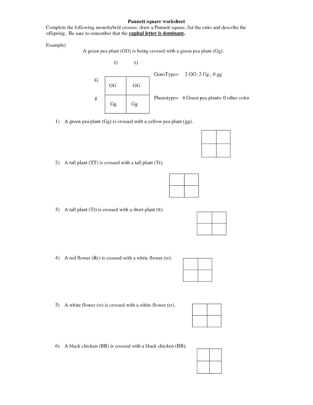 20 Monohybrid Worksheet Answers Pdf